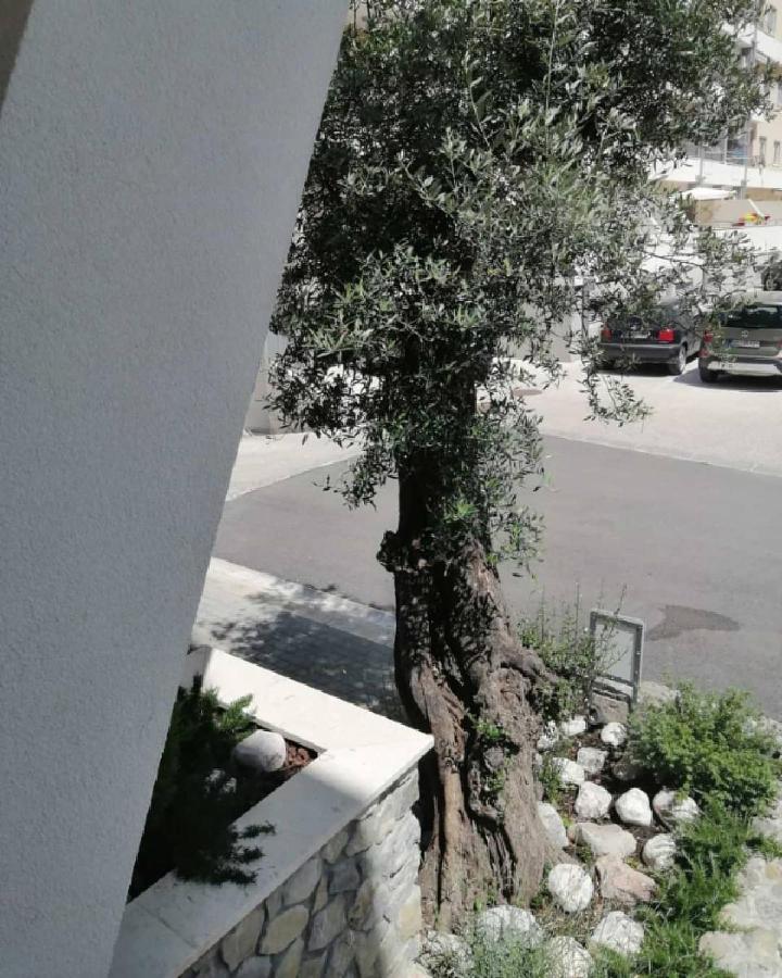 Mondi Azzurri Apartment Budva Exterior foto